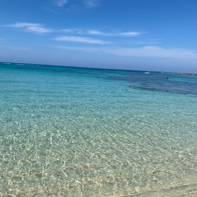 初めて訪れた奄美大島。
目に映る景色の全てが美しく、
地域の方々と触れ合う
穏やかに過ぎる時間にも
癒されました。

もちろん日焼け対策も万全。
せっかくの自然満喫なので
日焼け対策も自然派。

まずは、
日焼け止めを塗る前に
”ココナッツオイル”
を薄く塗りました。

ココナッツオイルには、
SPF約４の効果があると
言われていて
まさに自然の日焼け対策！
さらに、お肌をしっとりと
保ってくれます。

そして、飲む日焼け対策
”トマトジュース”
リコピンが肌の修復を
助けてくれますし、
水分補給にもなるので
熱中症対策にもなりますね。

しっかり対策して
この季節をたっぷりと
楽しみたいですね！

#エステティックサロンさくら
#さくら
#奄美大島
#日焼け対策