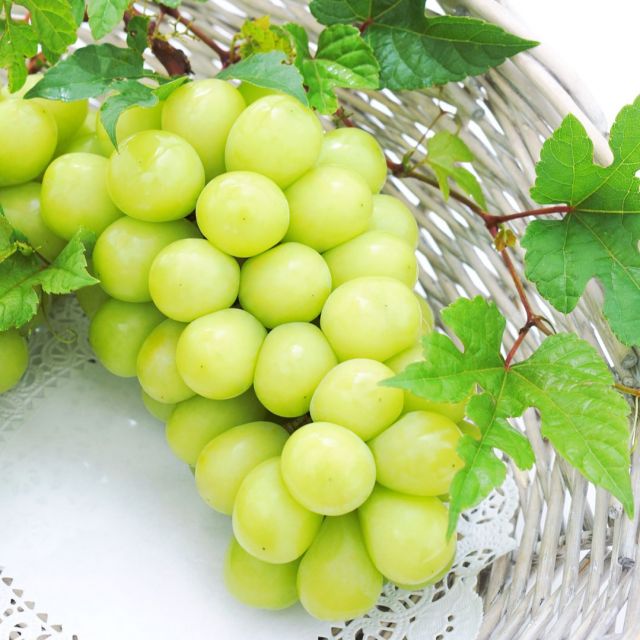 秋の美容食材のお話。

夏の疲れが
肌や体に出やすい時期なので、
「いたわり＋秋の味覚」が
ポイントになります。

まずは、

”ぶどう”
ポリフェノールが豊富で、
紫外線でダメージを受けた
肌の抗酸化ケアにぴったり。
鉄分も含むので、
夏バテで重くなった体を
軽くしてくれます。

次に、

”いちじく”
「不老長寿の果実」
と呼ばれるほど
美容成分が豊富！
食物繊維で腸内環境を整え、
ポリフェノールで
お肌の透明感をサポート。

そして、

”さつまいも”
βカロテンやビタミンCが豊富。
食物繊維でデトックス効果もあり、
夏のダメージをリセットして
“しっとり美肌”を目指せます。

最後に、

”さんま”
秋の魚の王様。
DHA・EPAで血流改善、
ビタミンDで
お肌の新陳代謝を整えます。
内側から「つや感」をプラス。

まとめ。

秋は「抗酸化＋巡り改善」が
キーワード。
フルーツでポリフェノールを、
根菜や魚で栄養を
バランスよく摂ることで、
夏の疲れを癒しながら
秋の美肌を育てていけます。

秋の味覚を楽しみながら、
美味しく楽しくお過ごしくださいね。

でも、食べ過ぎ注意ですからね・・・