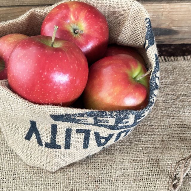 みなさんこんにちは
“ちょっと面白くて、
美容にも役立つ”
11月の食材のお話をどうぞ

りんごは「食べる美容液」？
りんごの皮には、
ポリフェノール
「プロシアニジン」がたっぷり。
実はこの成分、
美白コスメにも使われて
いるほどの抗酸化パワー！
しかも、りんごを切って
少し置くと茶色くなるのは、
ポリフェノールが
酸化している証拠。
つまり、りんごが
酸化してくれて、
あなたの肌を守って
くれているとも言えるんです

さつまいもで“甘い美肌習慣”
江戸時代、飢饉を救ったと
言われるさつまいも。
実は現代では「肌を救う」存在。
ビタミンC、食物繊維、
ポリフェノール、
どれも美肌三拍子！
しかも、糖質はゆっくり
吸収される“やさしい甘さ”。
おやつに食べると、
血糖値も肌トーンも
穏やかにキープ
してくれます

きのこは“美人菌”
の味方
きのこに含まれる
β-グルカンや食物繊維は、
腸内で善玉菌のごちそうに。
つまり、
きのこを食べる＝腸内美容液を
飲むようなもの。
特に舞茸は、
肌のターンオーバーを
助けるナイアシンが豊富。
「肌荒れしてるときは舞茸を食べろ」
は、美容通の合言葉かも？

おまけ：生姜は
“温活美容のカギ”
冷えは冬の美肌最大の敵。
生姜の「ショウガオール」が
血行を促し、肌の代謝をオンに。
夜の生姜湯で、
体も心もぽかぽかに。

11月は「肌を守る食材」が
旬を迎える季節。
食卓にちょっとした
“美容実験”を
取り入れてみると、
肌も気分も
ほっこり整いますよ。