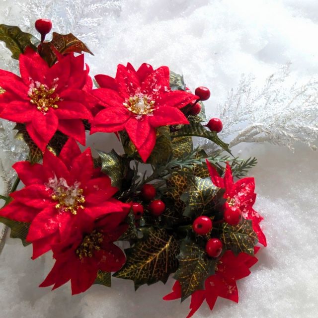 皆様こんにちは
12月のお花のお話です。

12月になると、
空気がきゅっと澄んで
街全体が静かに
光り出す気がします。

そんな季節に咲く
12月のお花たちは、
「あたため上手」な子が
多いんです。

まずは、
“ポインセチア”
クリスマスの定番ですが、
性格でいうと
“場の空気を
一気に華やかせる
主役タイプ”

そこにあるだけで
「今日はちょっと特別」
って気持ちにさせてくれます。

そして、
次は“アマリリス”
すっと伸びた茎と大きな花は
“自信を思い出させてくれるお姉さん”
の様です。
花言葉は「誇り」。
年の終わりに、
「今年もよく頑張ったね」と
背中を押してくれる
お花です。

12月は
“静かな光の中に、
ぬくもりが灯る月”
忙しい毎日の中でも、
ふと目に入るお花に
足を止めてみると、
一年の終わりが
少しだけ優しく
感じられますね。