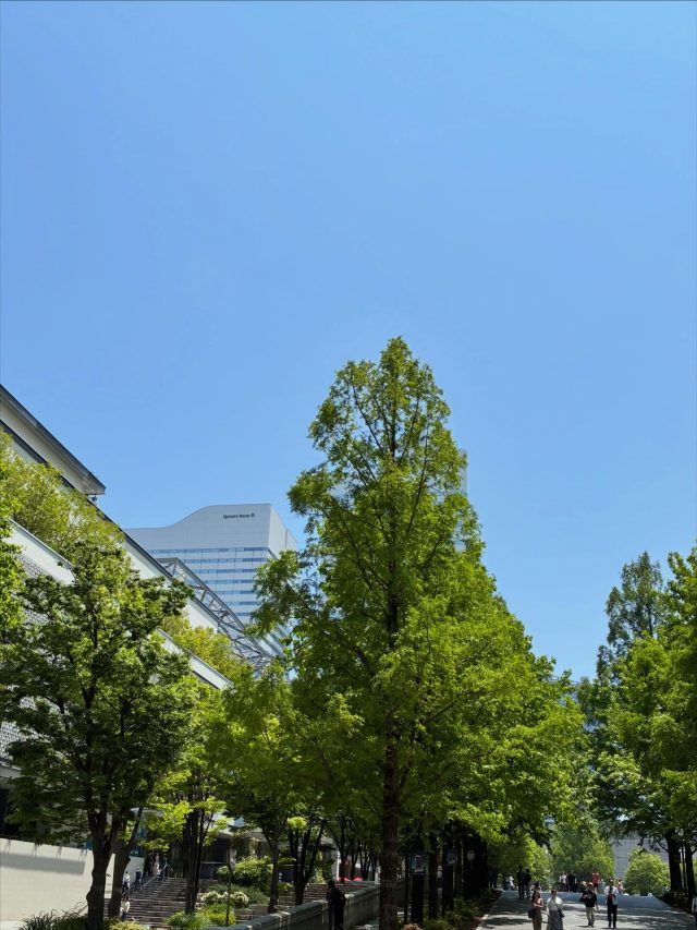 5月の陽気は美容の味方
というお話です。

5月は、
風が気持ちよくて、
外に出たくなる季節ですね。

実はこの“心地よさ”、
美容にも深く
関係していると
言われています。

・日差しを浴びることで
　気分がリフレッシュ
　（日焼け注意です）

・軽い運動で血行UP

・新緑を見ることで
　リラックス効果

・自律神経が
　整いやすくなる

特に、
気持ちよく過ごせる
時間が増えると
ストレスケアにも
つながり、肌や身体の
コンディションにも
良い影響があります。

忙しい毎日の中でも、
”良い陽気に誘われてお散歩。”
また、季節を感じる
”旬のお野菜などを楽しむ”
など、季節を感じるだけで
心も身体も整いやすくなる季節

“頑張る美容”より
「気持ちよく過ごす美容」も
大切にしたいですね。

写真は新緑が眩しい
みなとみらいエリア。