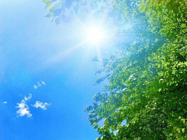 みなさまこんにちは

梅雨が明けました！

「梅雨が明けた」と聞くと、
夏の始まりを感じますよね

実は梅雨明けは、
梅雨前線の影響が弱まり、
本格的な夏の空気に
入れ替わるタイミング。
気象庁では、
その後しばらく
夏らしい天気が続くと
予想される頃を
「梅雨明け」と発表しています。

でも、お肌は・・・

少しお疲れ気味
かもしれません。
湿気や汗、
冷房による乾燥など、
梅雨の間に受けた
ダメージが
表れやすい季節です。

だからこそ・今こそ！
・しっかり保湿
・紫外線対策
・十分な睡眠

夏をもっと美しく
楽しむために、
梅雨明けは
お肌を整える
ベストタイミング。

季節の変わり目に、
いつもより少しだけ
自分をいたわる
時間を過ごして
この季節を楽しみましょうね。